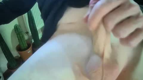 belzebubs online show from February 23, 10:28 am