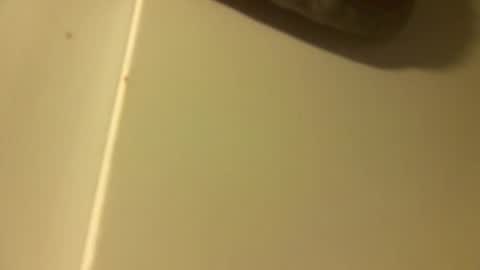 luxy77 online show from December 17, 3:30 pm