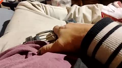 Lvac11 online show from January 21, 8:00 am