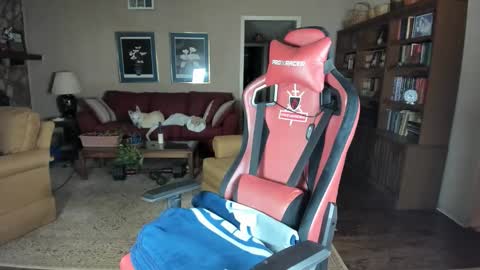 machinecumkelly69 online show from January 8, 5:56 am