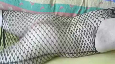 maestro2017 online show from April 11, 7:56 am