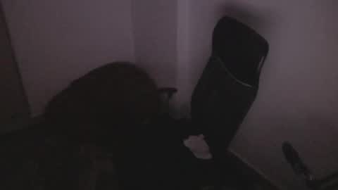 Tony Hoffa online show from December 2, 12:14 am