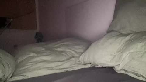 mailo online show from December 13, 7:53 pm