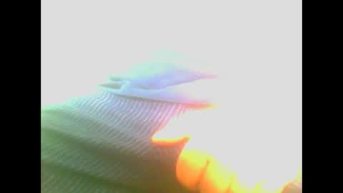 maioris6 online show from February 22, 8:07 am