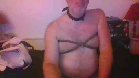 CommandbondageNipples bondage kink submissive lovense slave wgear. modequiethvyBondage If Password goldfish online show from October 14, 7:37 am