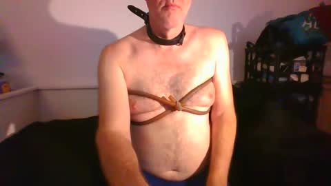 CommandbondageNipples bondage kink submissive lovense slave wgear. modequiethvyBondage If Password goldfish online show from January 29, 9:12 am