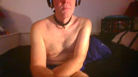 CommandbondageNipples bondage kink submissive lovense slave wgear. modequiethvyBondage If Password goldfish online show from February 6, 9:53 am