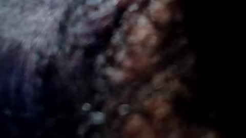 manotu1 online show from December 23, 2:02 am