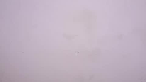 Manuel online show from February 25, 11:06 pm