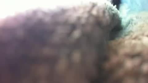 Marc online show from March 29, 2:55 am