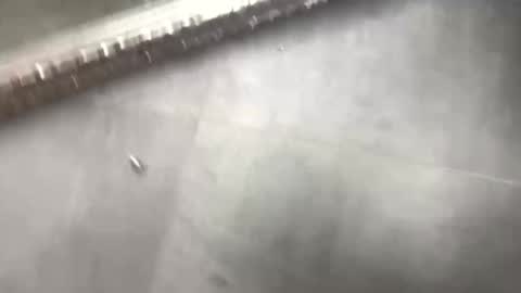 markk online show from November 13, 2:27 am