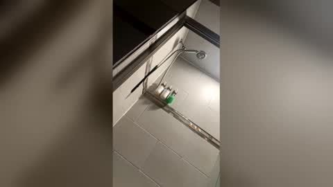 meetupnowchitown online show from April 6, 6:58 am