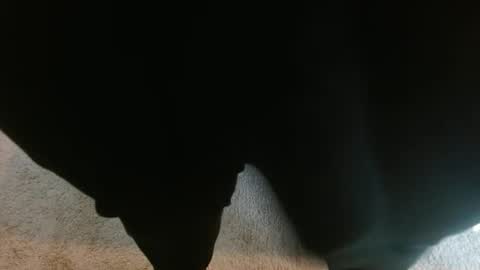 mikehey1 online show from October 1, 3:49 pm