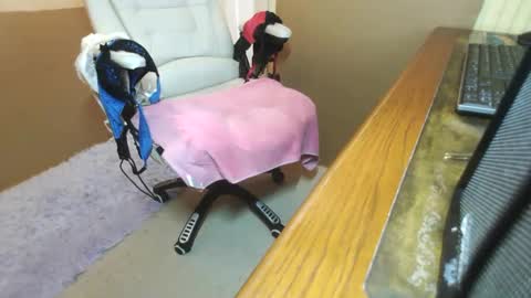 Michael online show from November 18, 3:38 pm