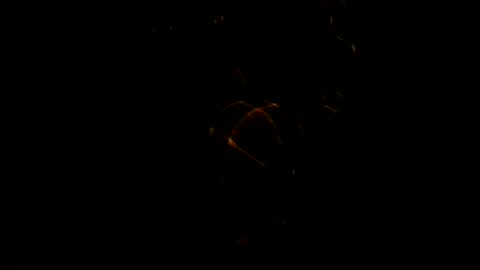 mip05 online show from January 8, 3:08 am