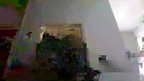 mmpempis81 online show from February 11, 7:23 am
