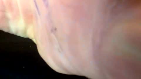 Kingalby817 online show from November 12, 9:37 am