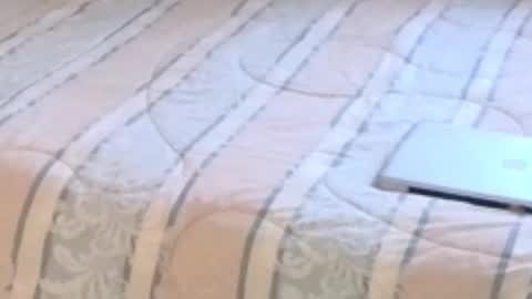 montydxxx2 online show from February 12, 11:22 pm