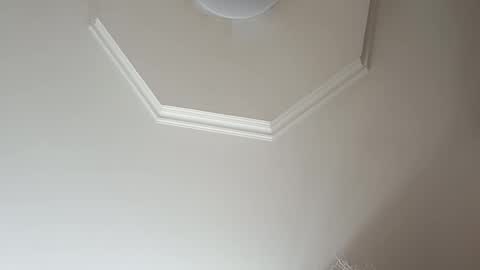 moos1 online show from March 3, 8:22 am