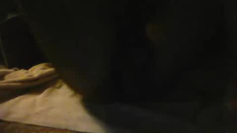 mothmon online show from November 22, 3:50 am