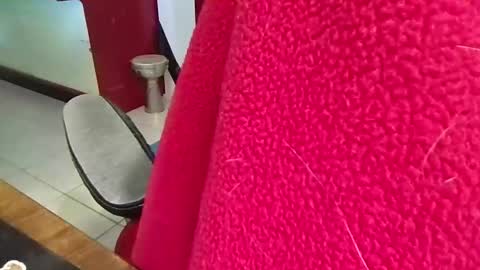 mr_atwood online show from April 20, 4:31 pm