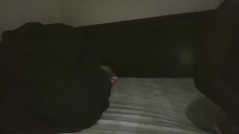 mr hooked online show from November 18, 4:05 am