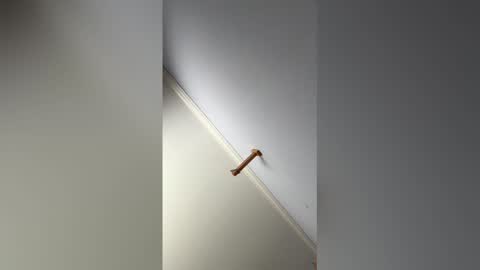 Hunter online show from February 14, 9:21 pm