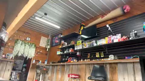 MrFootLong88 online show from December 13, 7:53 pm