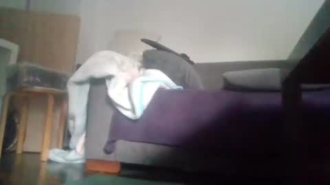 Nikola online show from October 18, 9:14 am