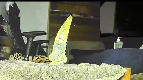 MR NO ICE online show from October 16, 11:29 am