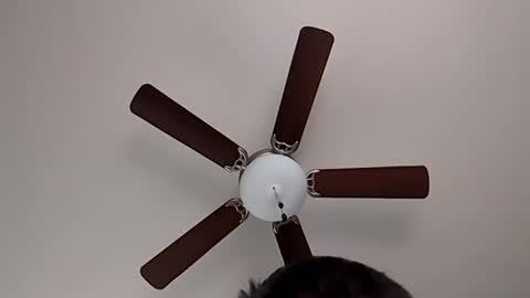 mrorange50187 online show from February 13, 7:52 pm