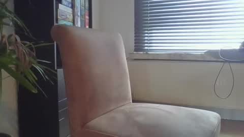 mstrmstr831 online show from February 17, 9:52 am