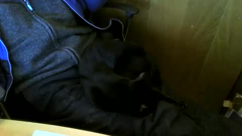 muller520 online show from March 3, 4:14 pm