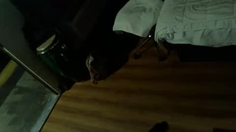 LA MARIPOSA DE MARICOPA online show from November 12, 12:22 pm