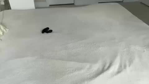 Myles Spears online show from October 15, 5:53 pm