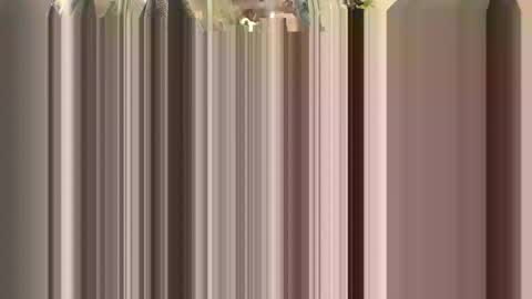 nadmorskifacecik online show from April 26, 4:48 pm