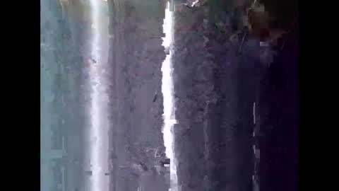 nakedbear108 online show from March 17, 7:11 am