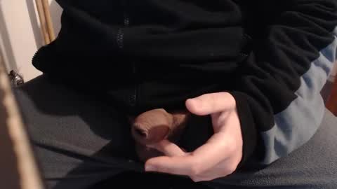 NapolICazzo online show from October 14, 6:09 am