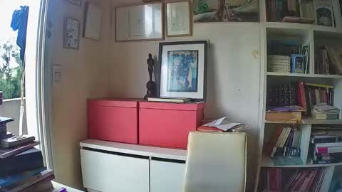 narcisismo1987 online show from December 2, 6:00 pm