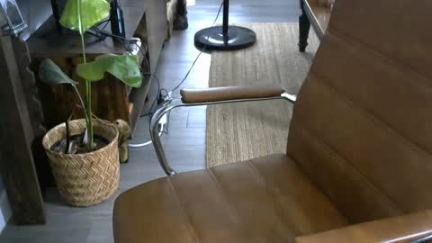 nareth338 online show from September 21, 8:53 pm