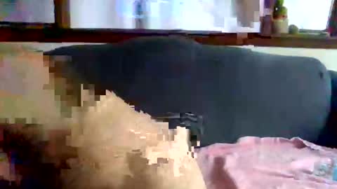 Newguy81240 online show from October 23, 5:49 pm