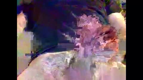 Nickyfruit online show from October 11, 11:53 pm