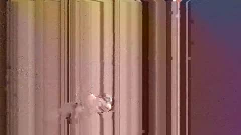 nikolaneedsex56 online show from September 10, 7:07 am