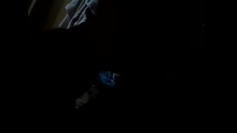 Nikk online show from December 22, 4:31 am