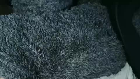 nineinchhard online show from November 28, 12:18 pm