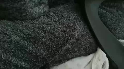 nineinchhard online show from October 22, 10:30 am