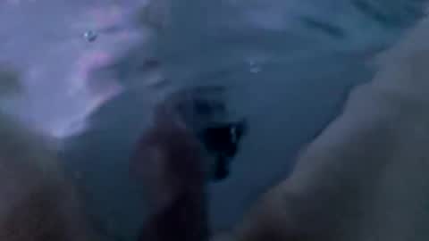 nmabq online show from October 21, 1:42 am