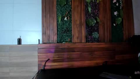 noah_dupont_ online show from February 1, 11:53 am