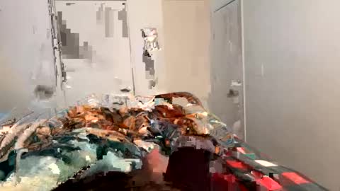 se le perdio algo perra hp online show from January 2, 4:24 pm