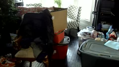 oscar flores online show from December 17, 2:35 pm